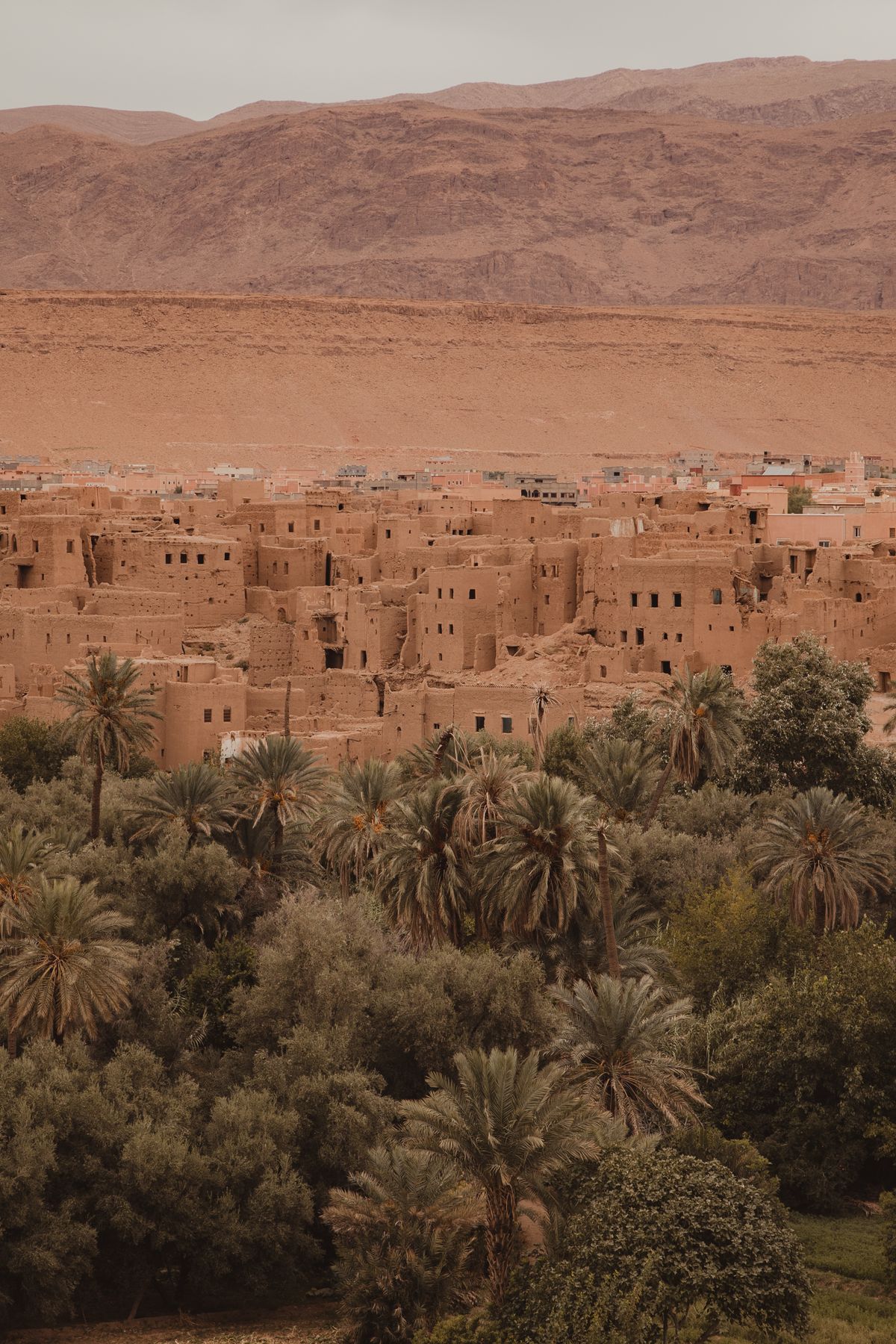 Private Tailor-Made Tours