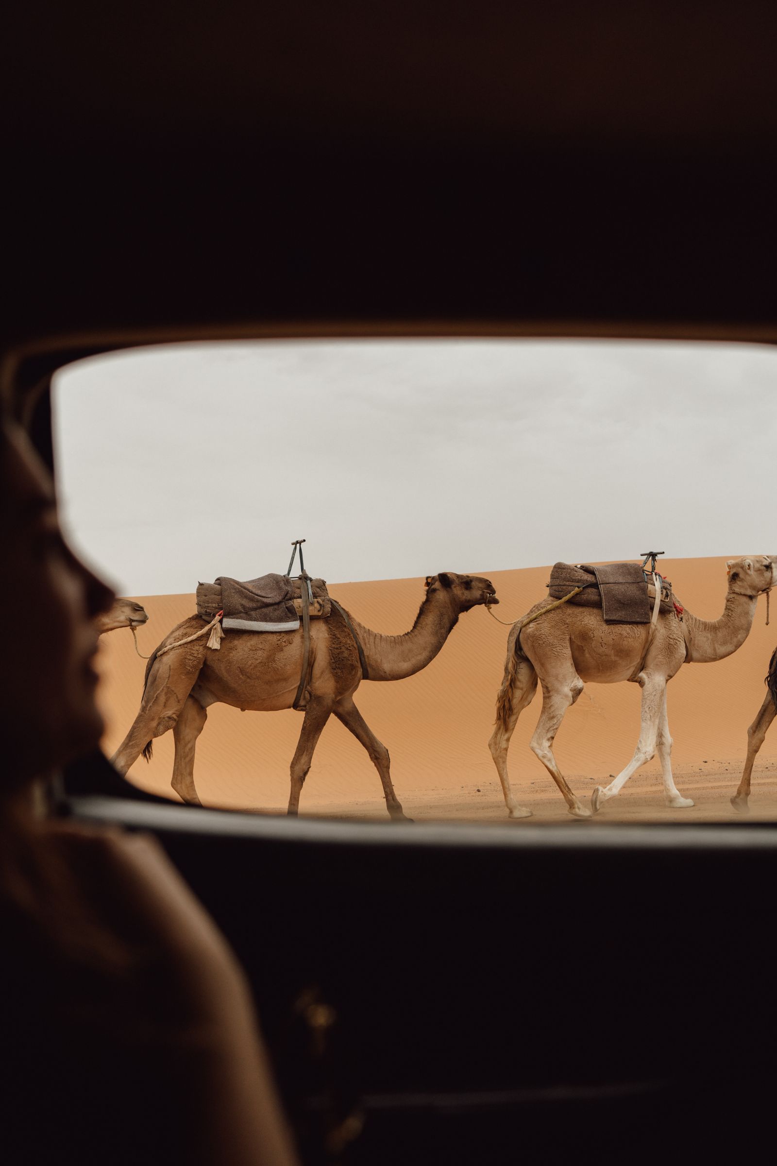 Best time to visit the Sahara