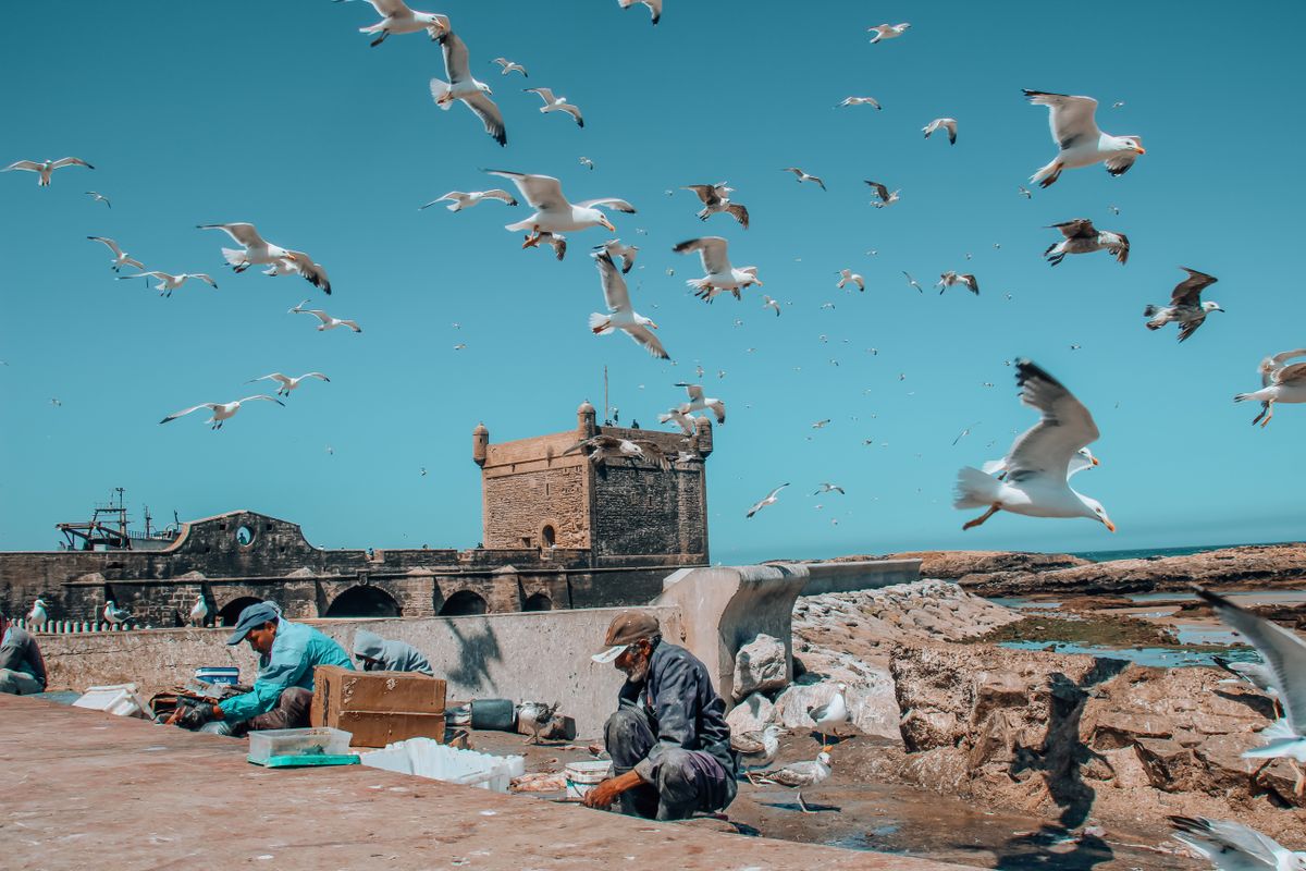 Essaouira Day Trip